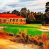 Pinehurst Diamond Painting