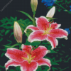 Pink Tiger Lilies Diamond Painting