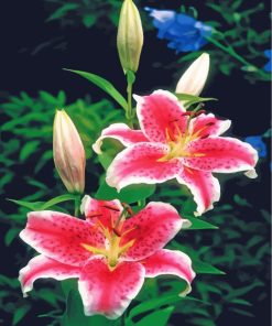 Pink Tiger Lilies Diamond Painting