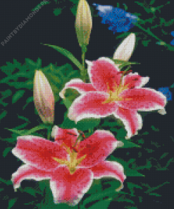 Pink Tiger Lilies Diamond Painting