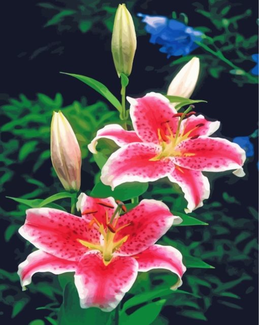 Pink Tiger Lilies Diamond Painting