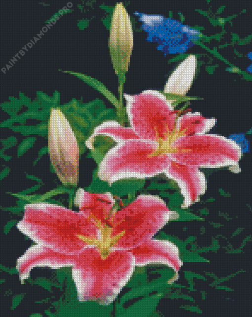 Pink Tiger Lilies Diamond Painting