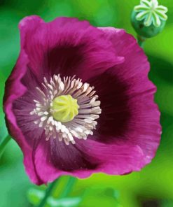 Purple Poppy Flower Diamond Painting