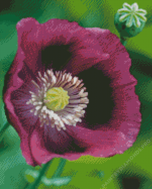 Purple Poppy Flower Diamond Painting