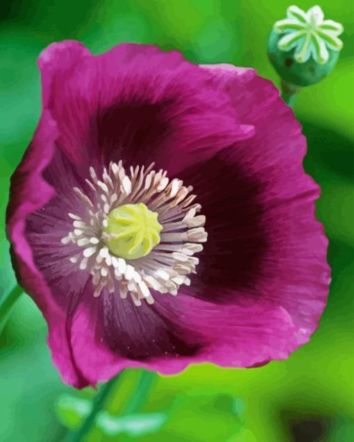 Purple Poppy Flower Diamond Painting