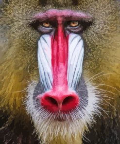 Red Nose Baboon Diamond Painting