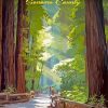 Redwoods Sonoma Poster Diamond Painting