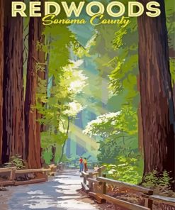 Redwoods Sonoma Poster Diamond Painting