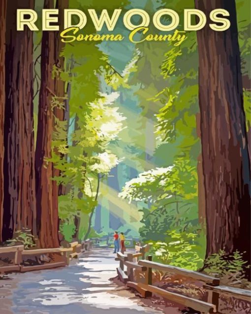 Redwoods Sonoma Poster Diamond Painting