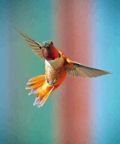 Rufous Hummingbird Diamond Painting