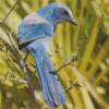 Scrub Jays On Stick Diamond Painting