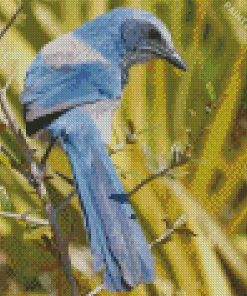 Scrub Jays On Stick Diamond Painting