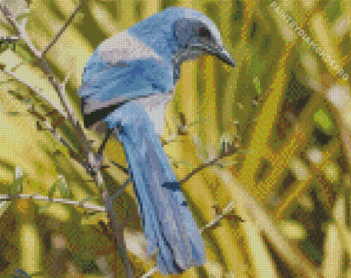 Scrub Jays On Stick Diamond Painting