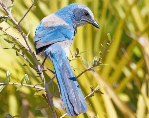 Scrub Jays On Stick Diamond Painting