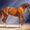 Secretariat Horse Diamond Painting