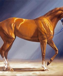 Secretariat Horse Diamond Painting