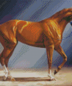 Secretariat Horse Diamond Painting