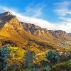 Tafelberg National Park Diamond Painting