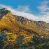 Tafelberg National Park Diamond Painting