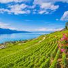 Vevey Lavaux Vineyard Diamond Painting