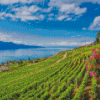 Vevey Lavaux Vineyard Diamond Painting