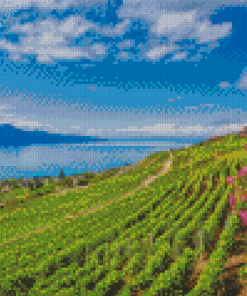 Vevey Lavaux Vineyard Diamond Painting