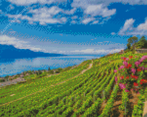 Vevey Lavaux Vineyard Diamond Painting