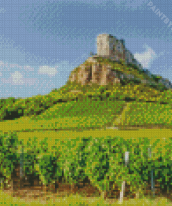 Vineyard In Burgundy Diamond Painting