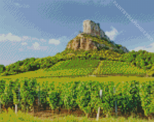 Vineyard In Burgundy Diamond Painting