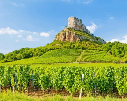 Vineyard In Burgundy Diamond Painting