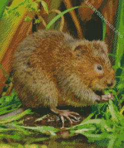 Water Vole Diamond Painting