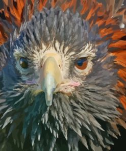 Wedge Tailed Eagle Diamond Painting