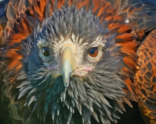 Wedge Tailed Eagle Diamond Painting