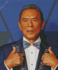 Wes Studi Diamond Painting