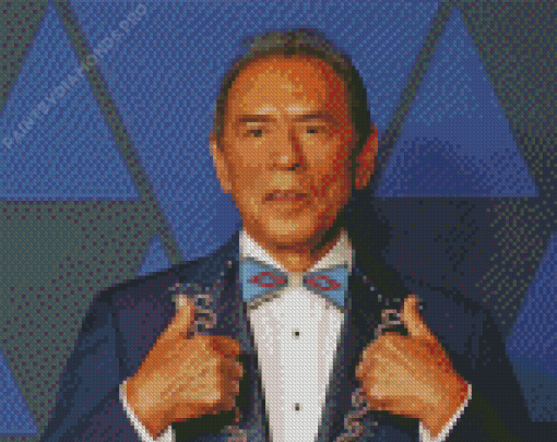 Wes Studi Diamond Painting