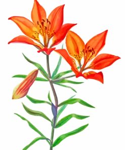 Western Red Lily Diamond Painting