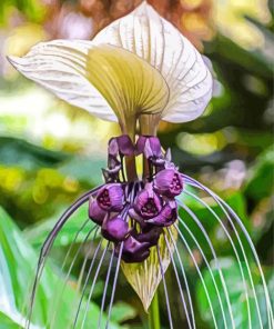 White Bat Flowers Diamond Painting