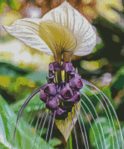 White Bat Flowers Diamond Painting