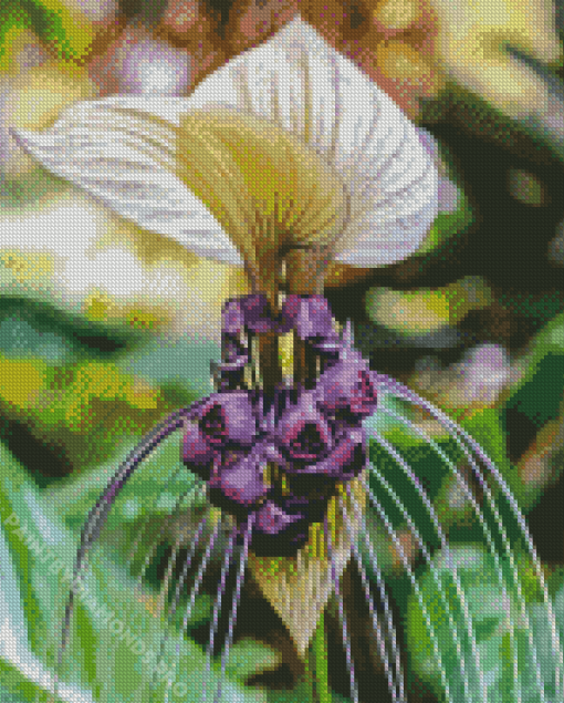 White Bat Flowers Diamond Painting