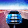 White And Blue Mustang Diamond Painting