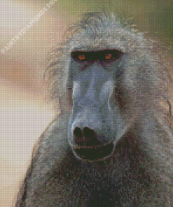 Wild Baboon Primate Diamond Painting