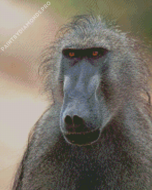 Wild Baboon Primate Diamond Painting