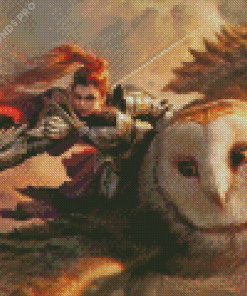 Woman Riding Owl Diamond Painting