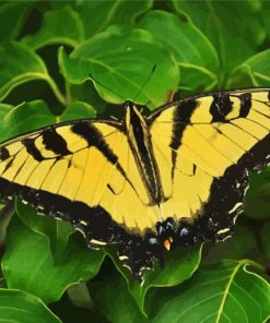 Yellow Monarch Butterfly Diamond Painting