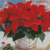 Aesthetic Poinsettia Diamond Painting