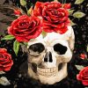 Aesthetic Skull And Roses Diamond Painting