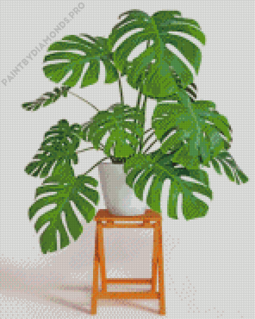 Aesthetic Monstera Plant Diamond Painting