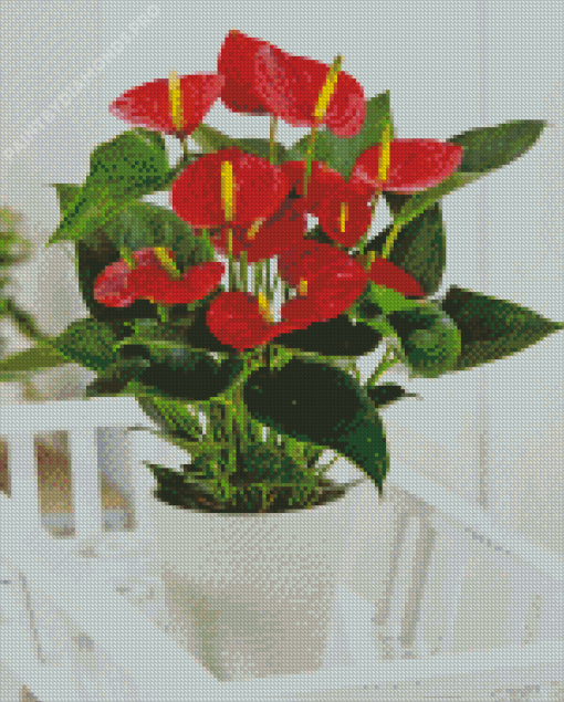 Anthurium Flower In Pot Diamond Painting