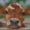 Baby Cow Diamond Painting