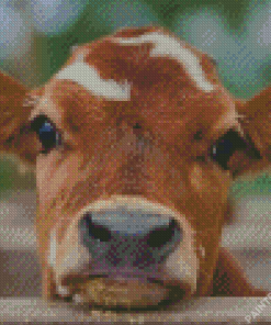 Baby Cow Diamond Painting